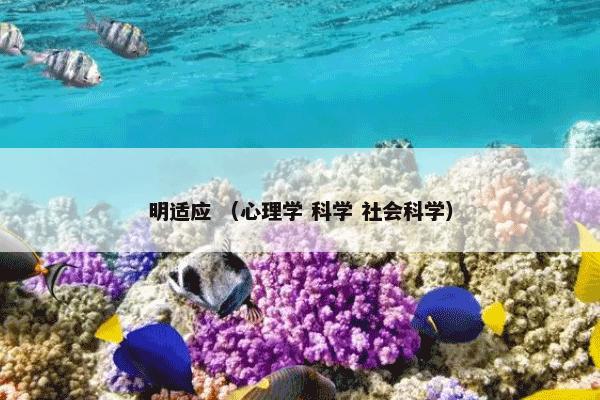 明适应 （心理学 科学 社会科学）