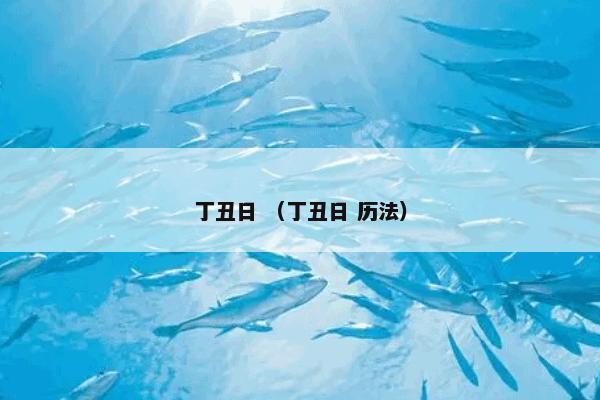 丁丑日 （丁丑日 历法）