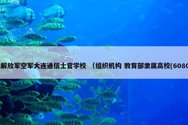 中国人民解放军空军大连通信士官学校 （组织机构 教育部隶属高校(60801) 学校）