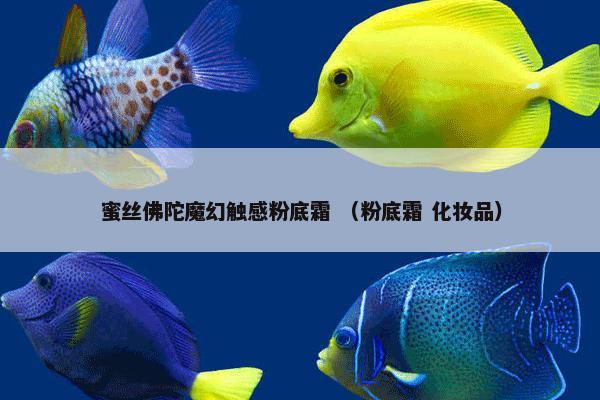 蜜丝佛陀魔幻触感粉底霜 （粉底霜 化妆品）