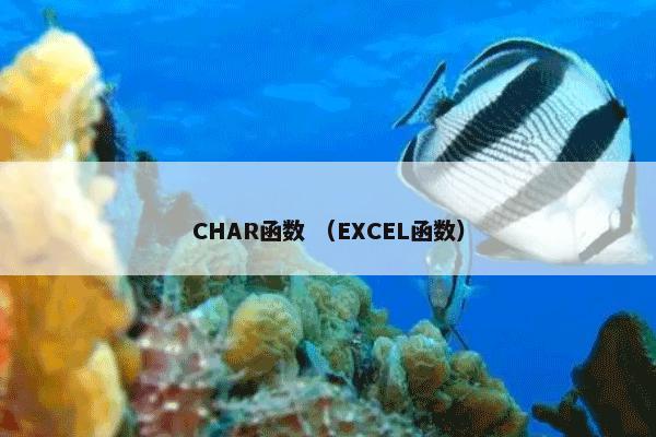 CHAR函数 （EXCEL函数）