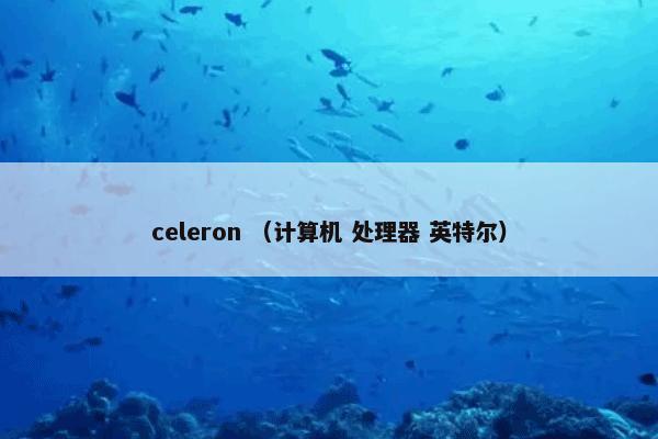 celeron （计算机 处理器 英特尔）