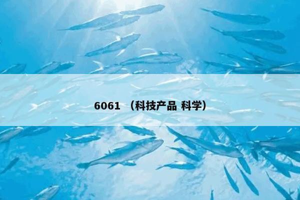 6061 （科技产品 科学）