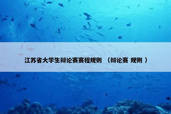 江苏省大学生辩论赛赛程规则 （辩论赛 规则 ）