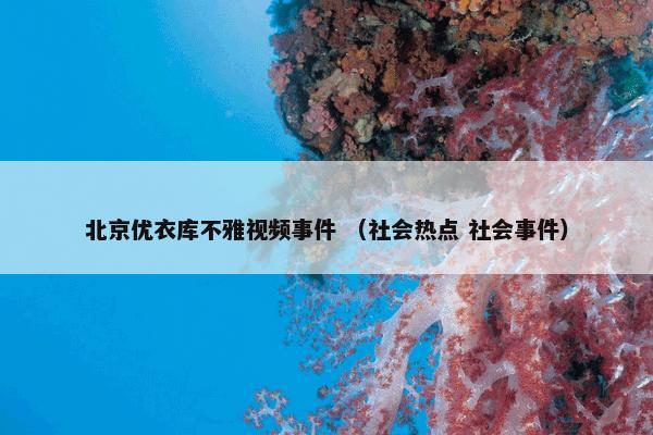 北京优衣库不雅视频事件 （社会热点 社会事件）