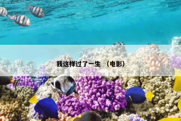 我这样过了一生 （电影）