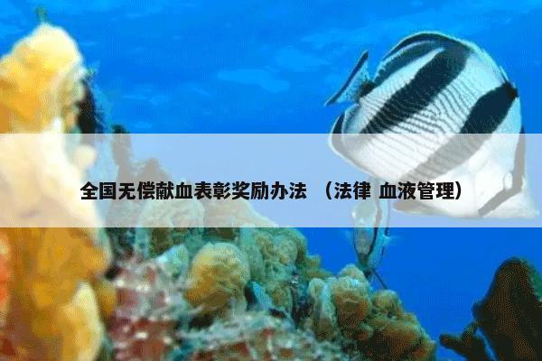 金光灿烂 （食品 词语）