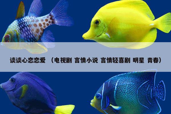 谈谈心恋恋爱 （电视剧 言情小说 言情轻喜剧 明星 青春）