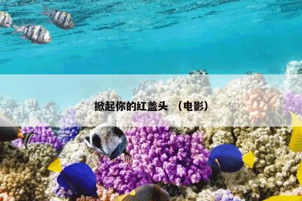 掀起你的红盖头 （电影）