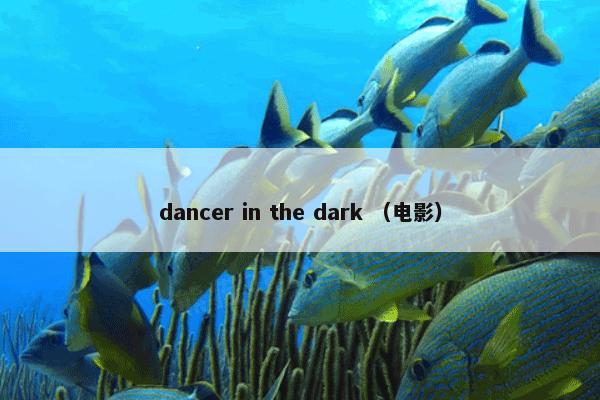dancer in the dark （电影）