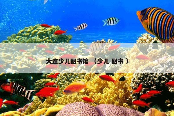 大连少儿图书馆 （少儿 图书 ）