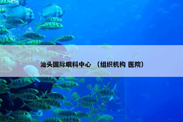 汕头国际眼科中心 （组织机构 医院）