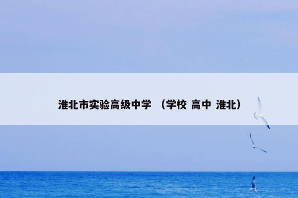 淮北市实验高级中学 （学校 高中 淮北）