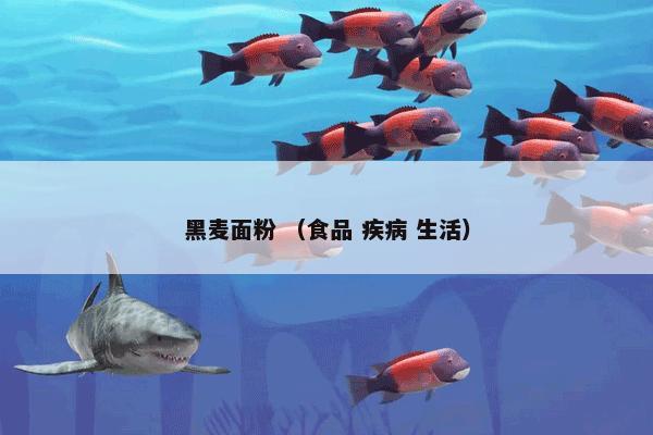 甘肃省教育科学研究所 （组织机构 科研机构）