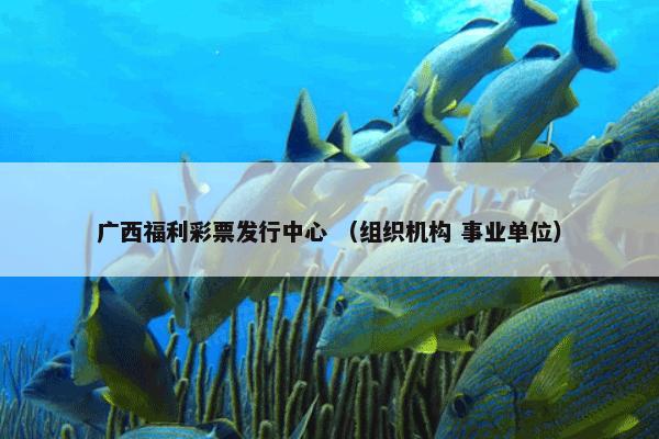 广西福利彩票发行中心 （组织机构 事业单位）