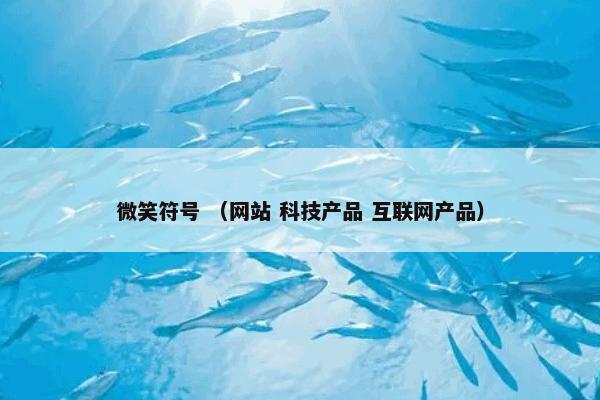 微笑符号 （网站 科技产品 互联网产品）