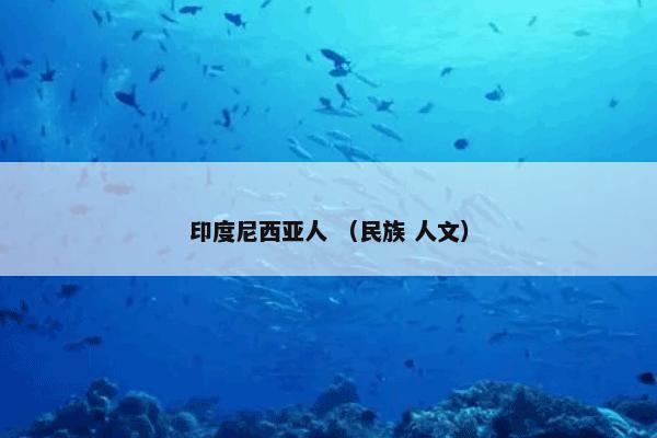 印度尼西亚人 （民族 人文）