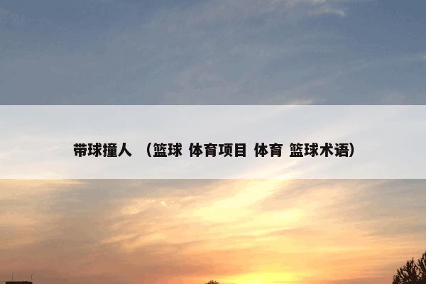 带球撞人 （篮球 体育项目 体育 篮球术语）