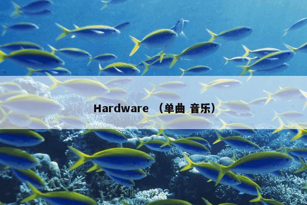 Hardware （单曲 音乐）