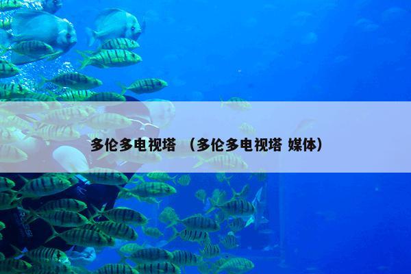 多伦多电视塔 （多伦多电视塔 媒体）
