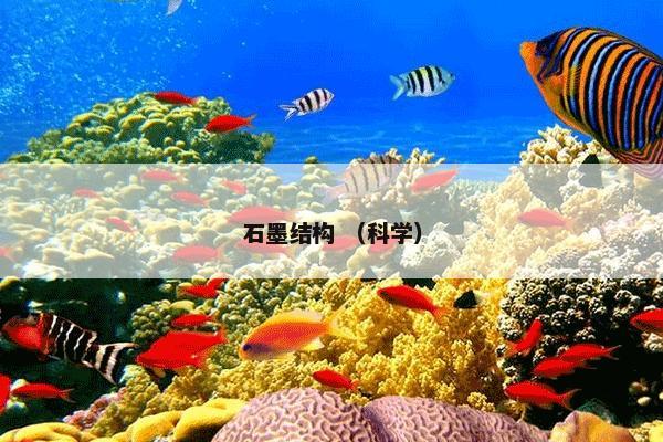 石墨结构 （科学）