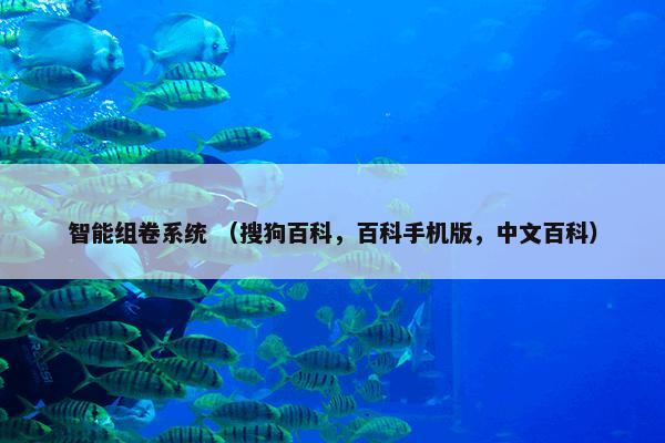 鸽子式 （生活术语 生活）