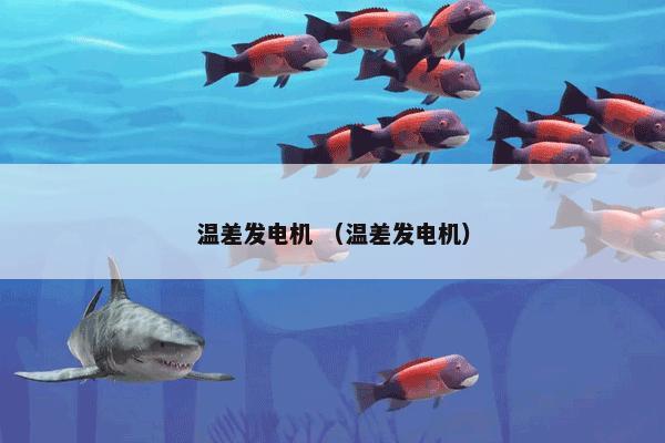 温差发电机 （温差发电机）