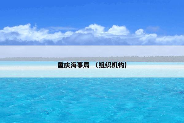 重庆海事局 （组织机构）
