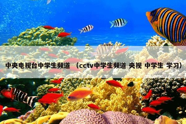 四分马拉松 （体育 马拉松 长跑 田径）
