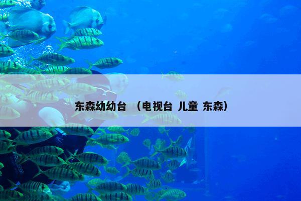 东森幼幼台 （电视台 儿童 东森）