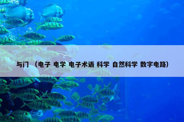 与门 （电子 电学 电子术语 科学 自然科学 数字电路）