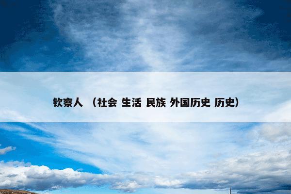 钦察人 （社会 生活 民族 外国历史 历史）