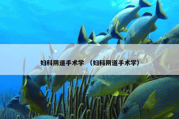 妇科阴道手术学 （妇科阴道手术学）
