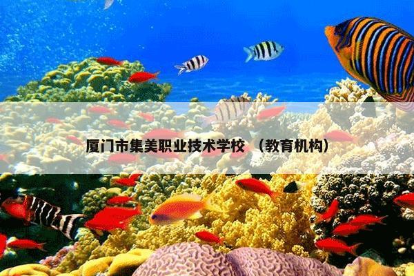 坪山区 （地理）