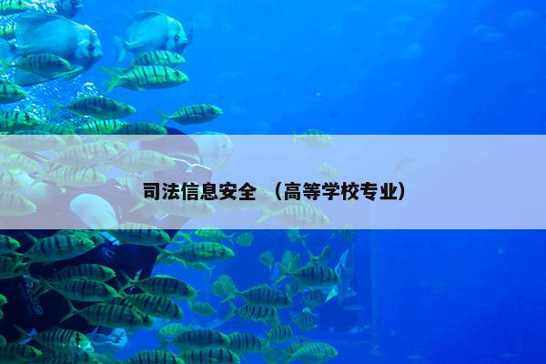 司法信息安全 （高等学校专业）