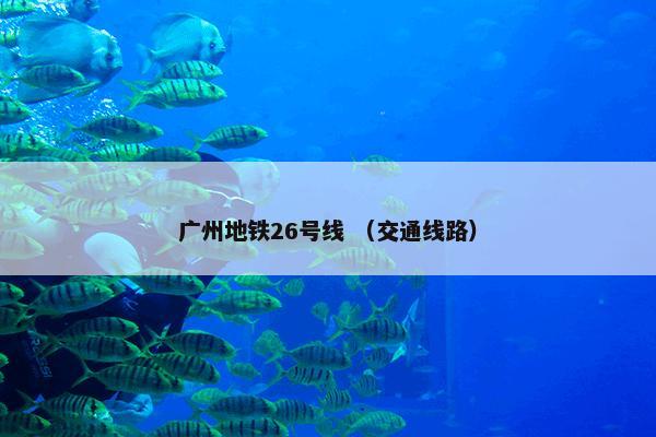 广州地铁26号线 （交通线路）