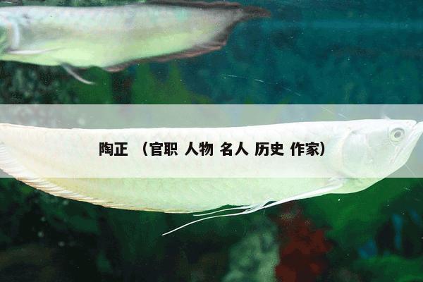 陶正 （官职 人物 名人 历史 作家）