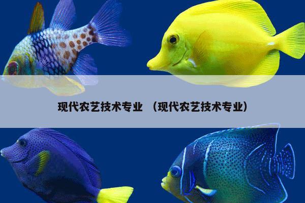 现代农艺技术专业 （现代农艺技术专业）