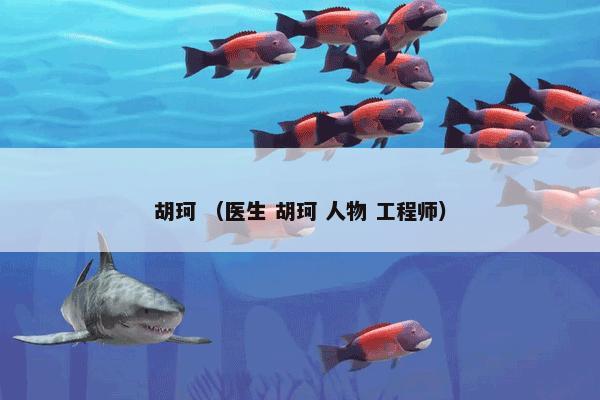 胡珂 （医生 胡珂 人物 工程师）