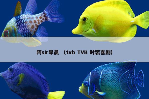 阿sir早晨 （tvb TVB 时装喜剧）