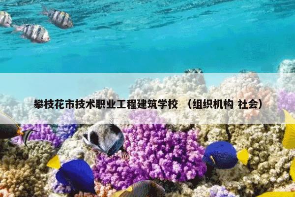 攀枝花市技术职业工程建筑学校 （组织机构 社会）