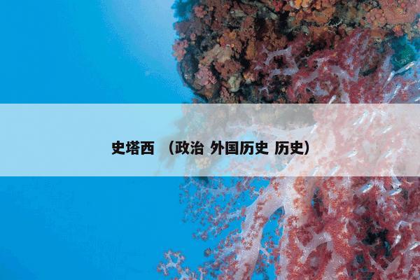 史塔西 （政治 外国历史 历史）