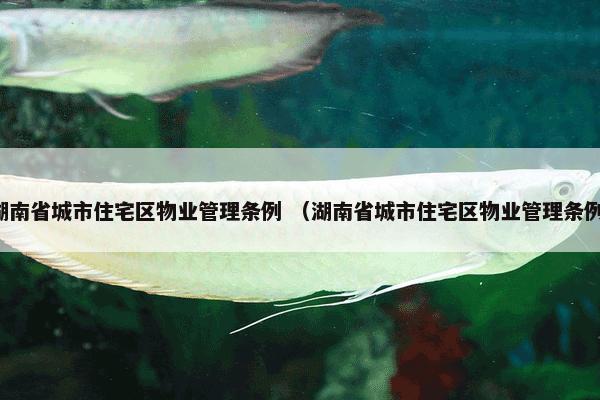 英语暑假作业 （英语 七年级 暑假作业）