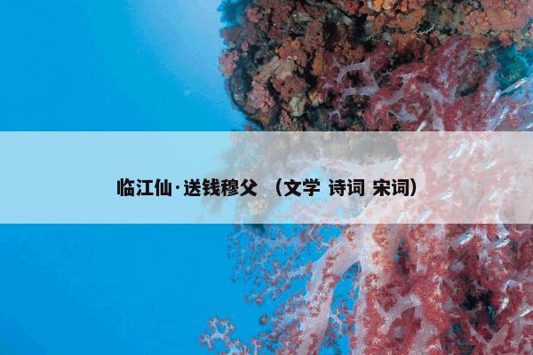 CPE （科技产品 科学）