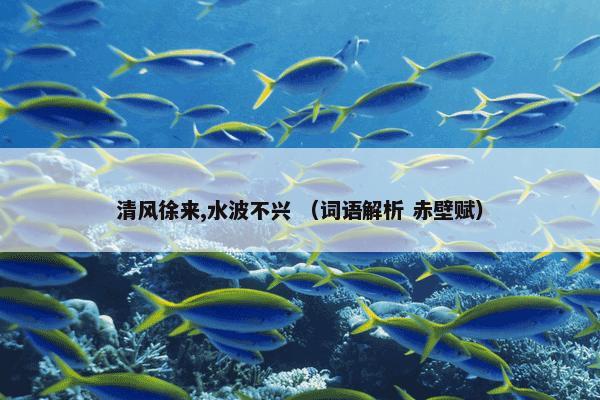 清风徐来,水波不兴 （词语解析 赤壁赋）