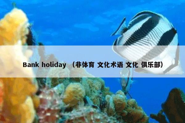 Bank holiday （非体育 文化术语 文化 俱乐部）