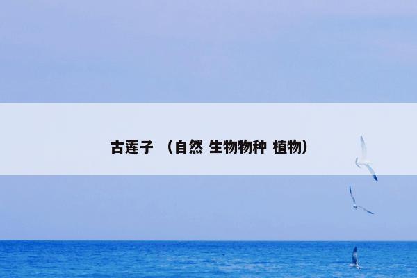 古莲子 （自然 生物物种 植物）