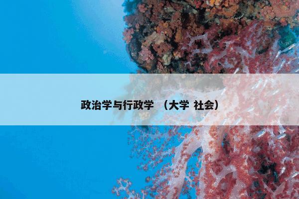 五等爵位 （历史 中国历史）