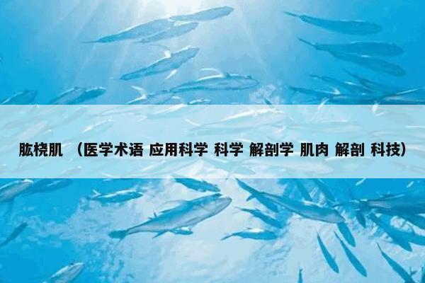 青竹标 （青竹标 支气管炎 百日咳 心绞痛 跌打损伤 金竹标 小南苏）