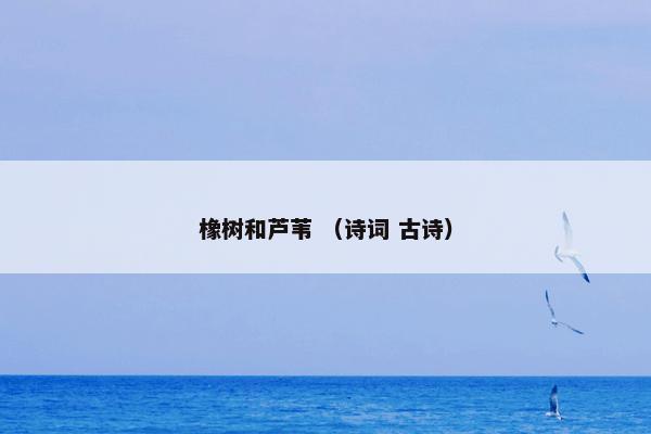 宁波市蛟川书院 （教育 学校 宁波 重点 优化）